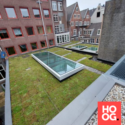 Amsterdam een stuk groener met dit sedum dak